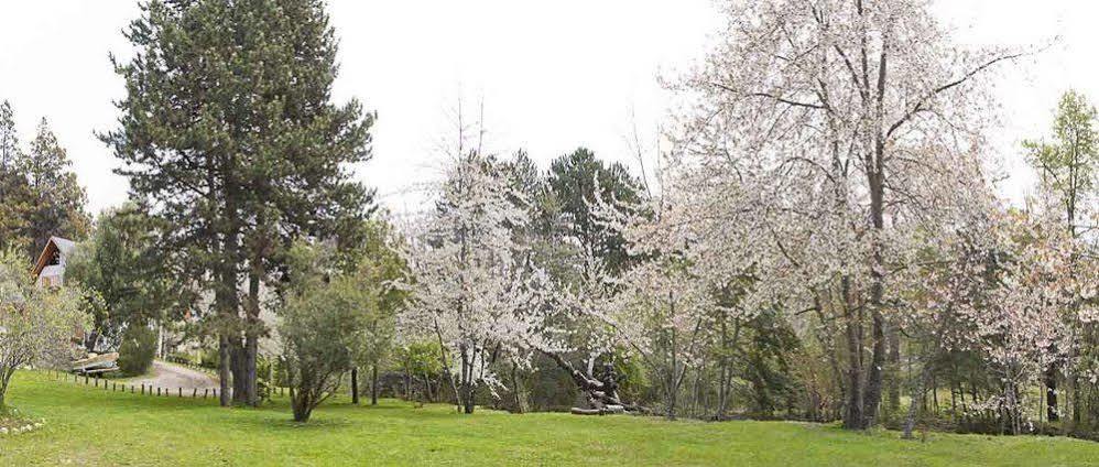 Cabañas Rucaleufu San Martín de los Andes Exterior foto